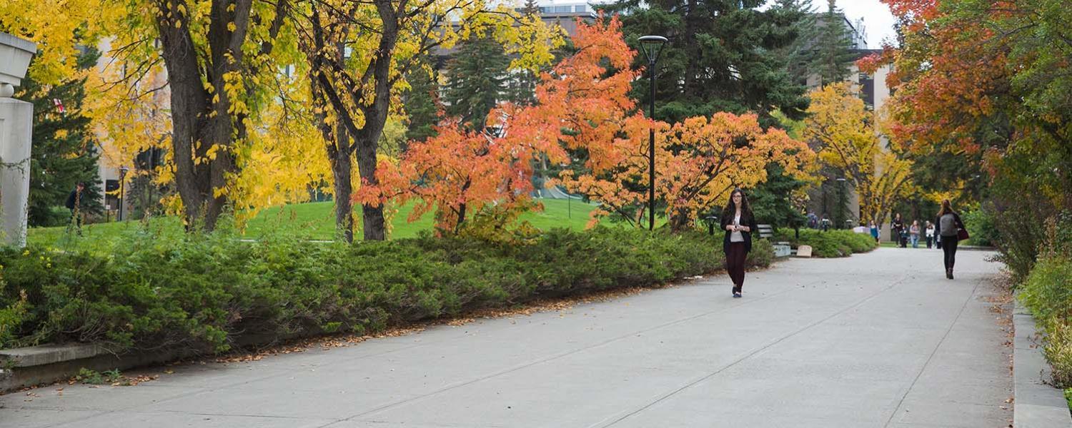 East Asian Language Studies Future Students University Of Calgary   East Asian Language 